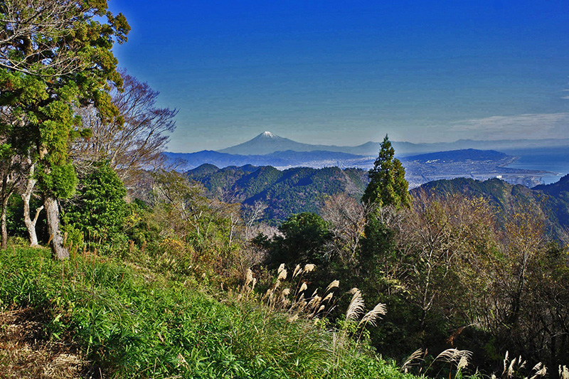 6.高草山から富士山を望む