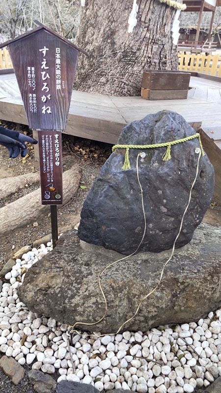 15.平野神社・「すえひろがね」日本最大の餅鉄