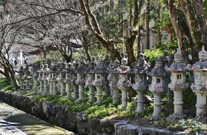 7.寺参道の燈籠